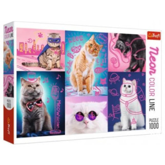 Пазли "Супер коти", 1000 елементів - Інтернет-магазин спільних покупок ToGether