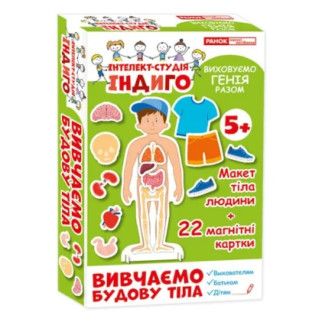 Дитяча розвиваюча гра на магнітах. Вивчаємо будову тіла 13109081, 22 картки в наборі - Інтернет-магазин спільних покупок ToGether