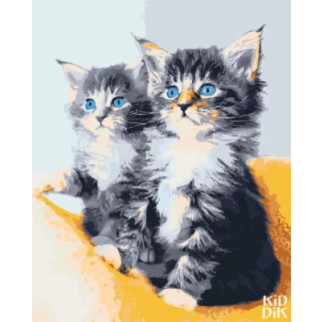 Картина за номерами. Art Craft "Блакитноокі кошенята" 40 * 50 см 11617-AC - Інтернет-магазин спільних покупок ToGether