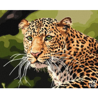 Картина за номерами "Зеленоокий леопард" Ідейка KHO4322 40х50 см - Інтернет-магазин спільних покупок ToGether