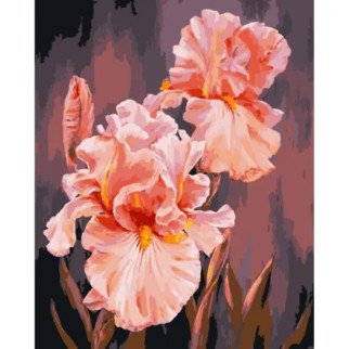 Картина за номерами "Рожеві іриси" Art Craft 13140-AC 40х50 см - Інтернет-магазин спільних покупок ToGether