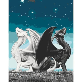 Картина за номерами "Пара драконів" Art Craft 16008-AC 40х50 см - Інтернет-магазин спільних покупок ToGether