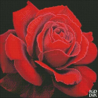 Алмазна мозаїка"Червонатроянда" annasteshka AMO7634 Ідейка 40х40 см - Інтернет-магазин спільних покупок ToGether