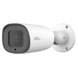 5 Мп IP-відеокамера ZKTeco BL-855P48S з детекцією облич - Інтернет-магазин спільних покупок ToGether