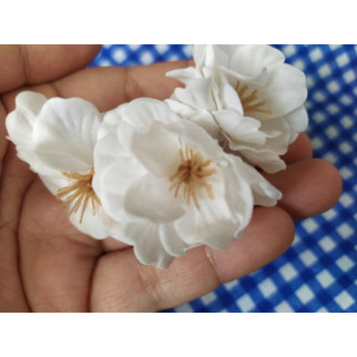 Мильна квітка, суцвіття Вишні - Інтернет-магазин спільних покупок ToGether