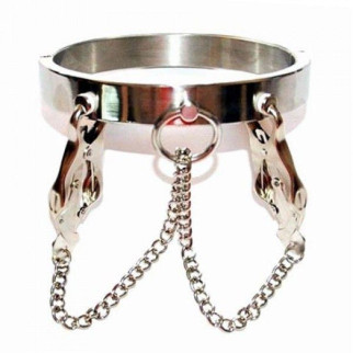 Unisex Luxury Stainless Steel Heavy Duty Collar with Japanese Clover Clamps 18+ - Інтернет-магазин спільних покупок ToGether