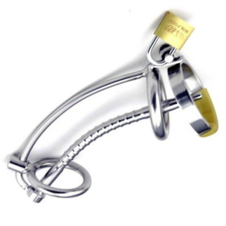 Asylum Locking Chastity Cage with a Removable Head Ring 18+ - Інтернет-магазин спільних покупок ToGether