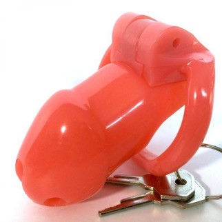 Пояс вірності червоний Holy Trainer Chastity Device V2 ZC092 18+ - Інтернет-магазин спільних покупок ToGether