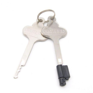 Набір ключів із серцевиною для поясів вірності Built-in lock 18+ - Інтернет-магазин спільних покупок ToGether