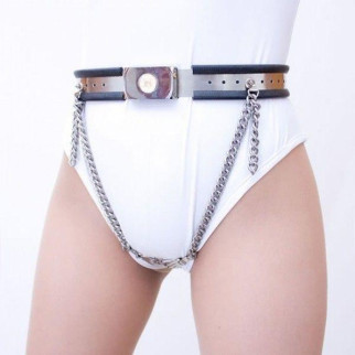 Model-Y Stainless Steel Female Covert Palms Chastity Belt 18+ - Інтернет-магазин спільних покупок ToGether