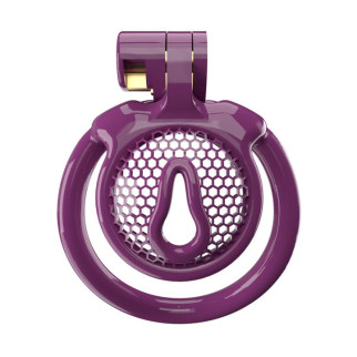 Чоловічий пояс вірності 3D Mini Chastity Cage ZX-1Z Flat Ring Arc-shaped ring Purple 18+ - Інтернет-магазин спільних покупок ToGether