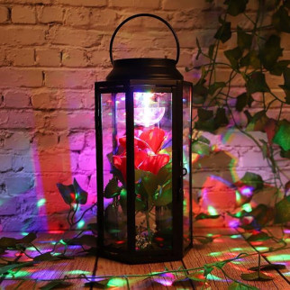 Світловий ліхтар HOHOTIME, обертові 3 кольорові стійкі до падінь підвісні світильники зі штучними - Інтернет-магазин спільних покупок ToGether