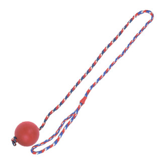 Іграшка для собак Flamingo Ball With Rope, 7 см - Інтернет-магазин спільних покупок ToGether