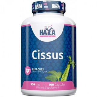 Антиоксидант Haya Labs Cissus 500 mg 100 Caps - Інтернет-магазин спільних покупок ToGether