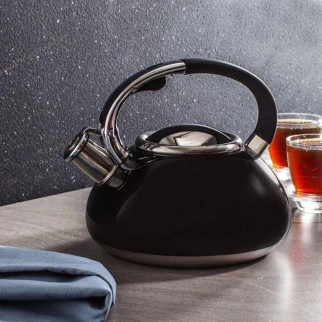Чайник зі свистком Edenberg EB-2452-Black 3 л чорний - Інтернет-магазин спільних покупок ToGether