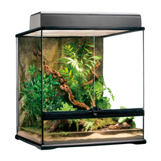 Тераріум Exo Terra Natural Terrarium скляний, 60 x 45 x 60 см - Інтернет-магазин спільних покупок ToGether