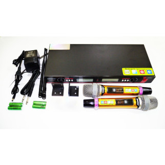 Радіосистема SHURE DM UGX9 II 2 мікрофони Мікрофон бездротовий для караоке - Інтернет-магазин спільних покупок ToGether