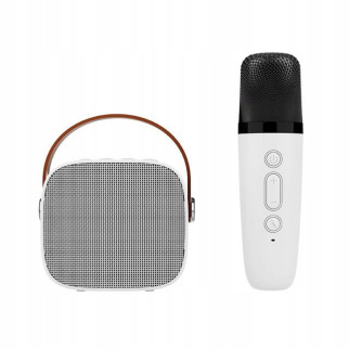 Портативная колонка оснащена  бездротовим караоке мікрофоном з Bluetooth K1 - Інтернет-магазин спільних покупок ToGether