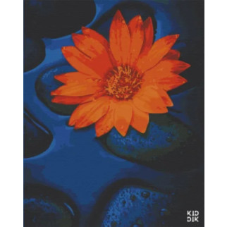 Картина за номерами. Art Craft Квітка лотоса 40х50 см 13124-AC - Інтернет-магазин спільних покупок ToGether