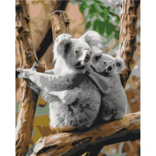 Картина за номерами "Сім'я коал" Brushme BS52451 40х50 см - Інтернет-магазин спільних покупок ToGether