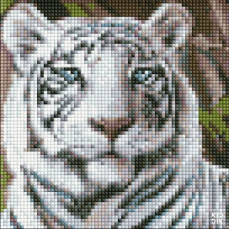 Алмазна мозаїка без підрамника "Бенгальський тигр" AMC7681 20х20 см - Інтернет-магазин спільних покупок ToGether