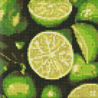 Алмазна мозаїка без підрамника "Соковитий лайм" AMC7708 20х20 см - Інтернет-магазин спільних покупок ToGether