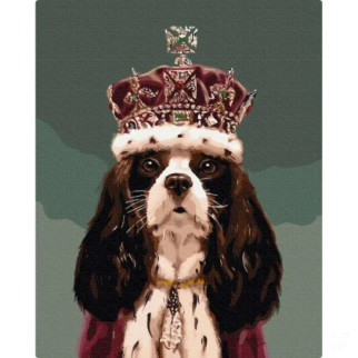 Картина за номерами "Король Чарльз"  Lucia Heffernan BS53617, 40х50см - Інтернет-магазин спільних покупок ToGether