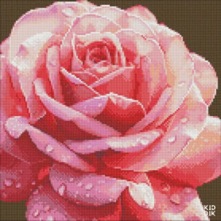 Алмазна мозаїка без підрамника "Повна троянда" AMC7854 40х40см - Інтернет-магазин спільних покупок ToGether