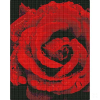 Алмазна мозаїка "Троянда в діамантах" AMO7501 40х50см - Інтернет-магазин спільних покупок ToGether