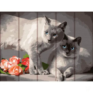 Картина за номерами по дереву "Сіамські коти" ASW128 30х40 см - Інтернет-магазин спільних покупок ToGether