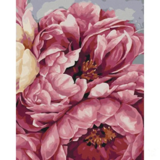 Картина за номерами "Цвітіння піонів" Brushme BS40543 40x50 см - Інтернет-магазин спільних покупок ToGether