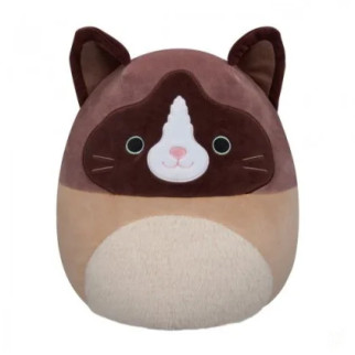 М'яка іграшка Squishmallows – Кіт Вудворд  (30 cm) - Інтернет-магазин спільних покупок ToGether