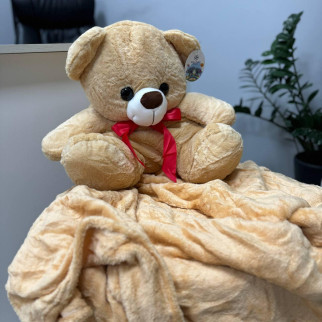 ІМʼяка іграшка з пледом Ведмедик бежевий - Інтернет-магазин спільних покупок ToGether
