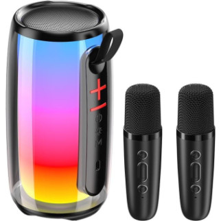 Портативна колонка з 2 бездротовими мікрофонами, динаміки по 20 Вт, 11 режимів RGB - Інтернет-магазин спільних покупок ToGether