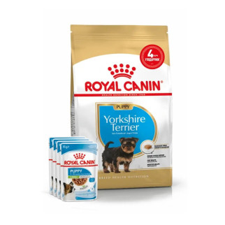 АКЦИЯ Royal Canin Yorkshire Puppy Набор корма корма для щенков йоркширский терьер 1,5 кг+ 4 паучи  - Інтернет-магазин спільних покупок ToGether