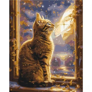 Картина по номерах "Котик у космосі", 40х50 см - Інтернет-магазин спільних покупок ToGether