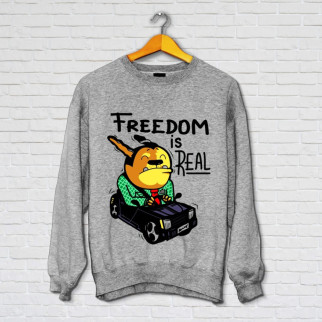 Чоловічий світшот з оригінальним принтом Push IT Пес в машині "Freedom is real" Сірий, S XL - Інтернет-магазин спільних покупок ToGether