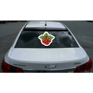 Наклейка на автомобіль «Калина» з оракалу - Інтернет-магазин спільних покупок ToGether