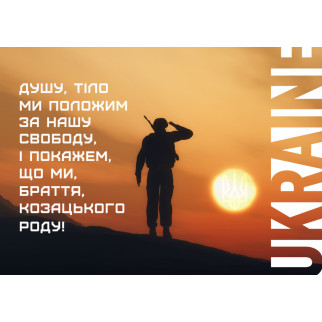 Холст на підрамнику з патріотичним принтом "Душу тіло ми покладемо за нашу свободу і покажемо, що ми брати." А1 - Інтернет-магазин спільних покупок ToGether