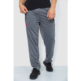 Спорт чоловічі штани, колір сірий, 244R41125 - Інтернет-магазин спільних покупок ToGether
