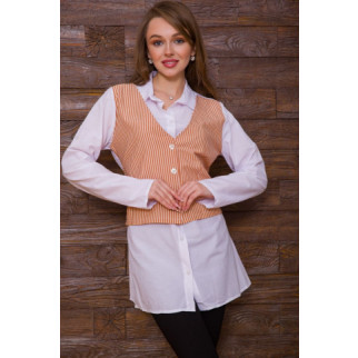 Жіноча сорочка, з декором в біло-теракотову смужку, 119R320 - Інтернет-магазин спільних покупок ToGether