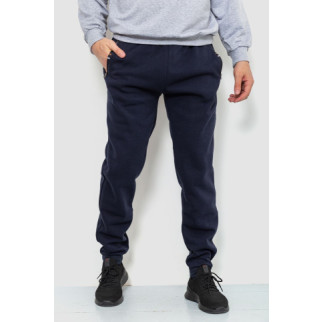Спорт чоловічі штани на флісі, колір темно-синій, 244R41269 - Інтернет-магазин спільних покупок ToGether