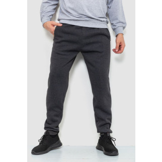 Спорт чоловічі штани на флісі, колір темно-сірий, 244R41517 - Інтернет-магазин спільних покупок ToGether
