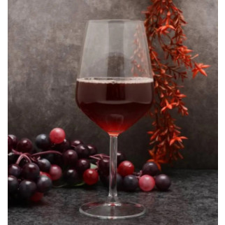 Набір келихів для вина Pasabahce Allegra PS-440065-2 490 мл 2 шт - Інтернет-магазин спільних покупок ToGether