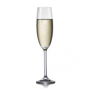Набір келихів для шампанського Bohemia Maxima 40445-220 220 мл 6 шт - Інтернет-магазин спільних покупок ToGether