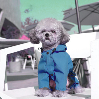 Дощовик-комбінезон для собак 11518 S синій - Інтернет-магазин спільних покупок ToGether