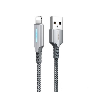 Кабель USB Remax Lightning Gonyu RC-123i-Silver 1 м сріблястий - Інтернет-магазин спільних покупок ToGether