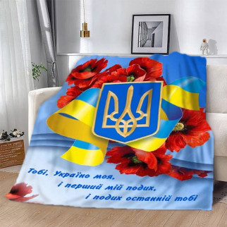 Плед 3D патріотичний "Україно моя" 2660_A 12595 160х200 см - Інтернет-магазин спільних покупок ToGether