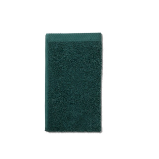Рушник для рук Kela Ladessa 23273 30х50 см зелені альпи - Інтернет-магазин спільних покупок ToGether