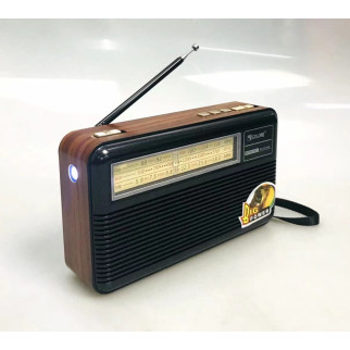 Радіоприймач Golon RX-BT169 - Інтернет-магазин спільних покупок ToGether